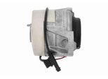 VAICO Lagerung, Motor v304299 links für Mercedes