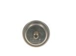 BOSCH Druckspeicher, Kraftstoffdruck 0438170055 für FERRARI LANCIA Mercedes ROLLS-ROYCE
