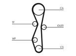 CONTINENTAL CTAM Wasserpumpe + Zahnriemensatz ct1091wp1 für Ford Volvo LANCIA Peugeot Fiat Citroën