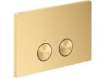 hansgrohe Axor FlushPlate Drückerplatte 42531250 für 2-Mengen-Spülung, Metall, brushed gold optic