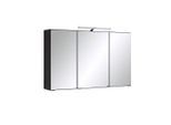 Held Spiegelschrank Held Möbel Cardiff, Graphit, Metall, 6 Fächer, 100x64x20 cm, Made in Germany, Badezimmer, Badezimmerspiegel, Spiegelschränke