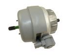 CORTECO Lagerung, Motor 49429180 für Audi