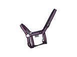 EQuest Halfter Dual Shetty