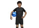 Puma Kinder/Kids IndividueleCUP Trui (ZWART/BLAUW)