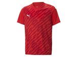 Puma Kinderen/Kinderen TeamULTIMATE T-Shirt (Rood)