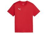 Puma Kinderen/Kinderen TeamFinal Performance T-shirt (Rood)