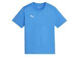 Puma Kinderen/Kinderen TeamFinal Performance T-shirt (Blauw)