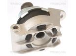 TRISCAN Lagerung, Motor 850524110 für Opel Vaughall