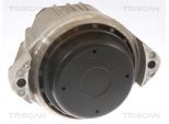 TRISCAN Lagerung, Motor 850511105 für BMW