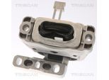 TRISCAN Lagerung, Motor 850529146 für VW
