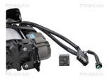 TRISCAN Kompressor, Druckluftanlage 872581103 für Tesla