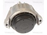 TRISCAN Lagerung, Motor 850511106 für BMW