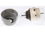 TRISCAN Lagerung, Motor 850529101 für Audi SEAT