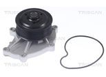 TRISCAN Wasserpumpe 860068025 für Subaru