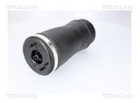 TRISCAN Luftfeder, Fahrwerk 872011205 für BMW