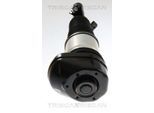 TRISCAN Luftfederbein 872011102 für BMW