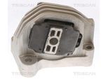 TRISCAN Lagerung, Motor 850527110 für Volvo
