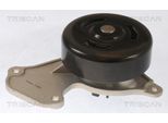 TRISCAN Wasserpumpe 860025095 für RENAULT