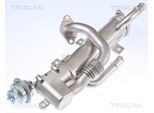 TRISCAN Kühler, Abgasrückführung 881329333 für Audi