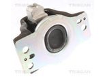 TRISCAN Lagerung, Motor 850525102 für RENAULT DACIA