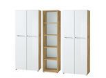 BÜRO-SET MUENCHEN 3-teilig | 240cm breit Glasfront | 2 Schrank Abschließbar & Regal | Chalet-Eiche-Nb./Weiß