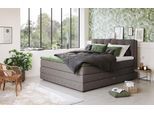 Boxspringbett COTTA "Fort II, in verschiedenen Breiten erhältlich - auch als Familienbett", grau (charcoal), B:201cm L:215cm, 100% POLYESTER (PES), Komplettbetten, Boxspringbett, inkl. Bettkasten und Topper