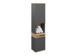 James Wood , Anthrazit, Eichefarben , Holzwerkstoff , 2 Fächer , 40x170x30 cm , hängend ,