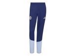 Adidas ajax pre pnt replica trainingsbroek voetbal dames