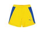 Puma Evo broek voor kinderen (Geel)