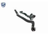 VAICO Reparatursatz, Kurbelgehäuseentlüftung EXPERT KITS + v203290 für BMW