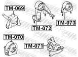 FEBEST Lagerung, Motor tm069 vorne rechts für TOYOTA
