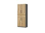 Aktenschrank mit Massivholzfront SOLIDLine ¦ grau ¦ Maße (cm): B: 80 H: 198,2 T: 40.0