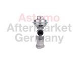 ASTEMO-HITACHI AGR-Ventil 2505962 für Fiat Citroën Peugeot Citroën/Peugeot LANCIA
