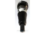 TRISCAN Luftfederbein 872029105 für Audi