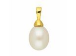 Kettenanhänger ADELIA´S "Perlenanhänger 333 Gold ( 8K )", gold, Schmuckanhänger, Damen, Gold, Kettenanhänger, Goldanhänger Perle