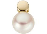 Perlenanhänger JOBO "Anhänger mit Perle 13 mm", gelb (gelbgold 585), Schmuckanhänger, Damen, Gelbgold 585 Perlen, Gelbgold 585, Perlen, 14 Karat 585 Gold mit Süßwasser-Zuchtperle