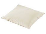 Federkissen OTTO KELLER "Kopfkissen & Dekokissen, in 40x40, 40x80, 80x80 cm erhältlich", beige (creme), B:40cm L:40cm, Bezug: 100% Baumwolle. Füllung: 100% Gänsefeder, Kopfkissen, Sofakissen, Dekokissen und auch als Schlafkissen.