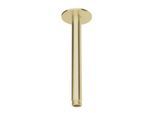 Herzbach Design iX PVD Deckenarm 21.964820.1.41 Brass Steel, für Regenbrause, 200mm, mit Rosette d= 70mm