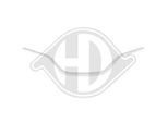 DIEDERICHS Blende, Kühlergitter 4467442 mitte für RENAULT