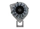 BV PSH Generator 815006055010 für Ford Volvo