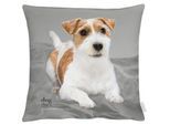 Dekokissen APELT "Alfi", grau (grau, natur, bedruckt), B:46cm L:46cm, Obermaterial: 70% Polyester, 30% Baumwolle. Füllung: 100% Polyester, Dekokissen_Sitzkissen_Kissenhüllen, Dekokissen