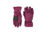 Mountain Warehouse Dames/Dames Skihandschoenen (Donkerpaars)
