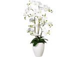 Kunstorchidee CREATIV GREEN "Deko-Orchidee Phalaenopsis XL im Keramiktopf", weiß, B:50cm H:110cm L:40cm, Obermaterial: 100% Polyethylen, Kunstpflanzen, Kunstorchidee