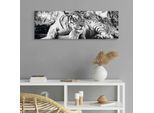 Deco-Panel OTTO HOME "Tiger guckt dich an", grau (farbe bild(er): grau), B:90cm H:30cm, MDF, Papier, Bilder, Deco-Panel