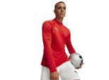 Puma Heren Team Final trainingsfleece met kwartritssluiting (Rood)