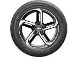 BF GOODRICH Winterreifen 235/65 R17 108H XL, SUV - g-Force Winter 2 225331