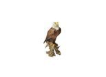 Dazikemo Dekofigur Gartenfigur Weißkopfseeadler