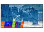 LG 24LN662V Cruise Hotel TV 61 cm (24")