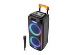 Denver TSP-456 Bluetooth Lautsprecher Trolley–600W, Mikrofon, schwarz
