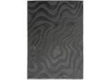 Teppich "Blaze 251", anthrazit, B:160cm H:28mm L:230cm, Polyester, SCHÖNER WOHNEN-KOLLEKTION, Teppiche, Teppich, Indoor, pflegeleicht, verschiedene Formen, Hoch Tief Struktur
